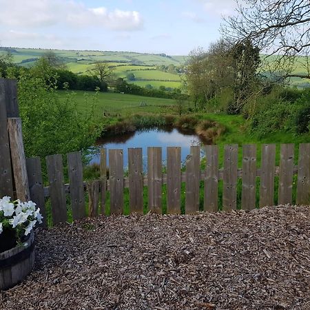 Eco Accommodation Cornflower Holiday Craven Arms Kültér fotó