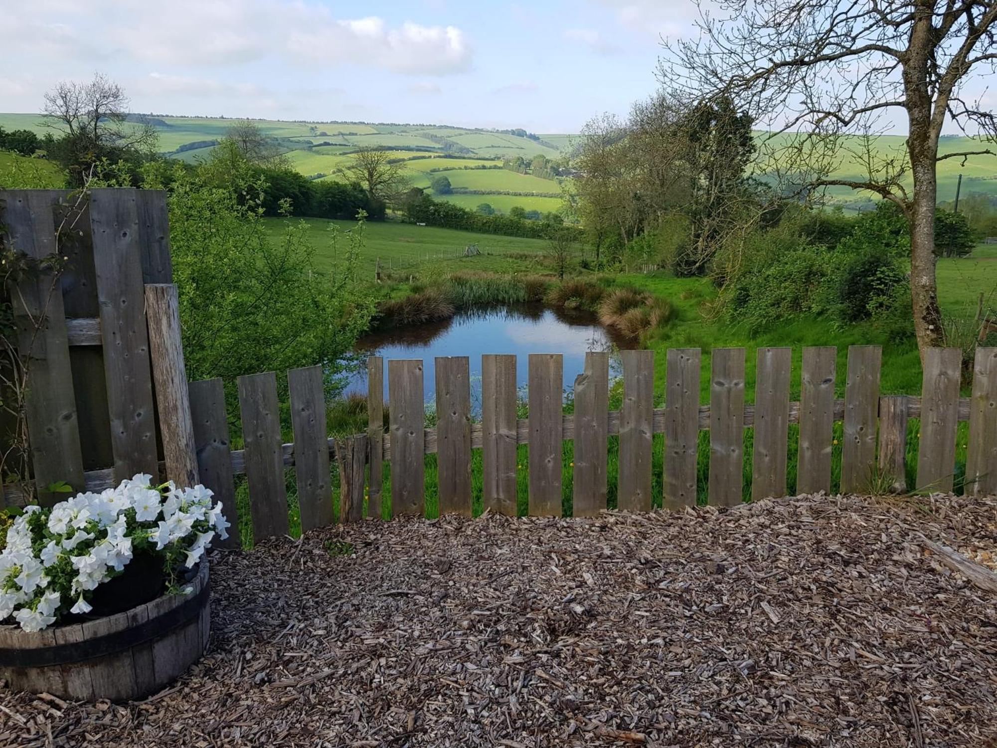 Eco Accommodation Cornflower Holiday Craven Arms Kültér fotó