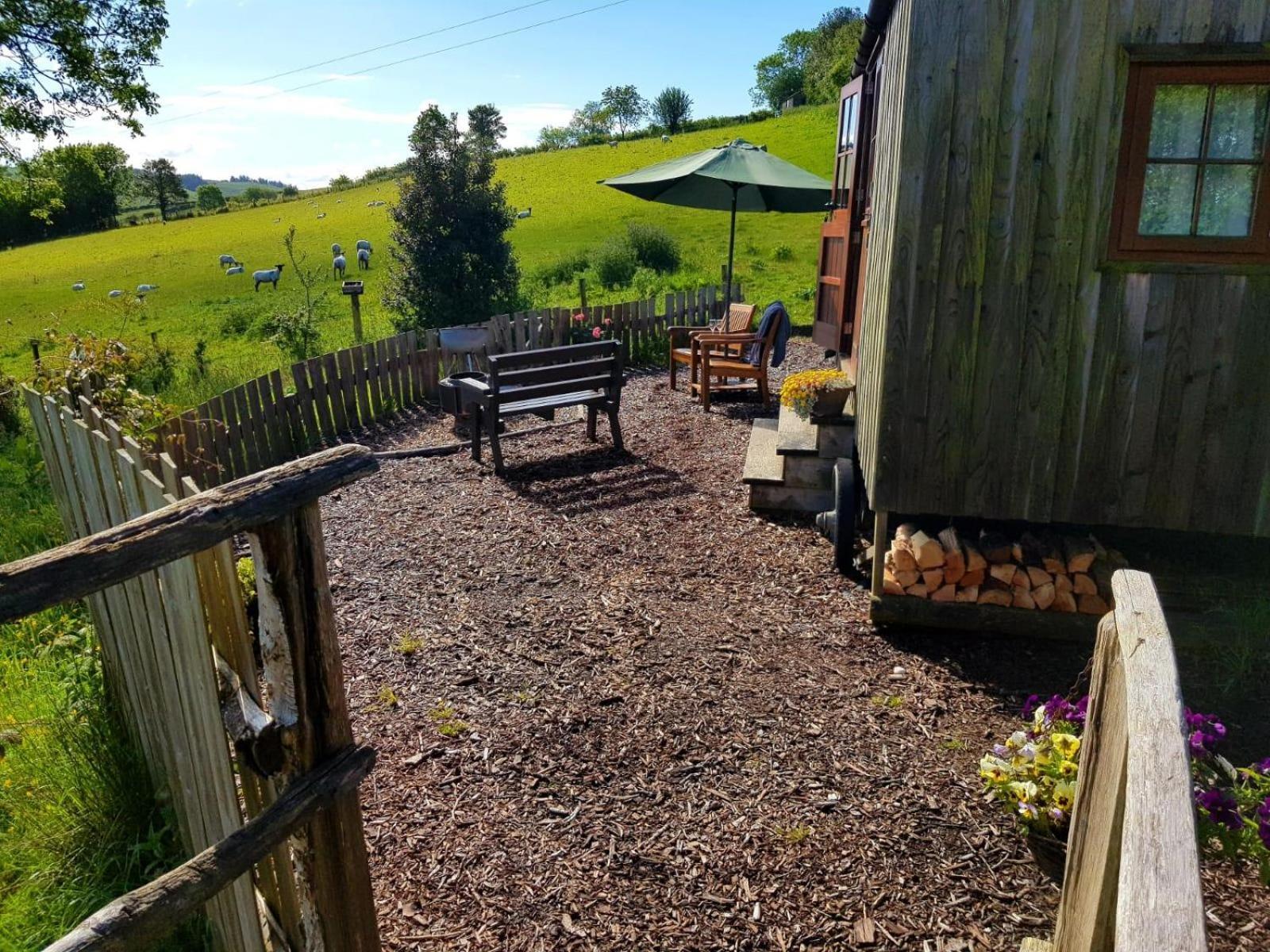 Eco Accommodation Cornflower Holiday Craven Arms Kültér fotó